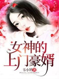 女神的上门豪婿电视剧